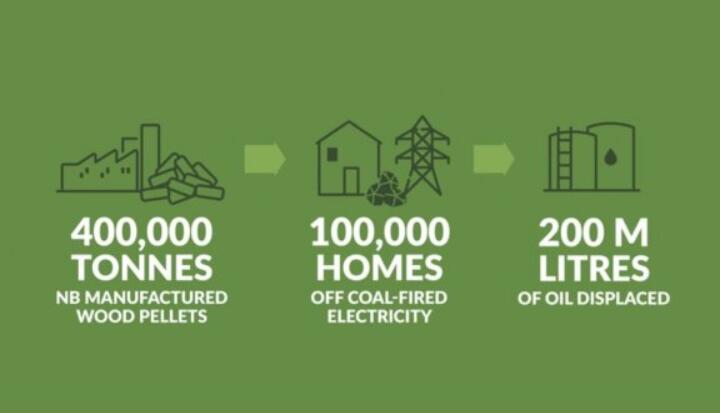 全球48%的木屑顆粒消費(fèi)來自住宅和商業(yè)建筑。從2020年到2021年，歐洲家庭生物質(zhì)消費(fèi)量增長了18%，商業(yè)應(yīng)用增長了12.5%。