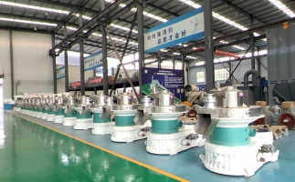 新手開顆粒廠，該選小型還是大型木屑顆粒機？