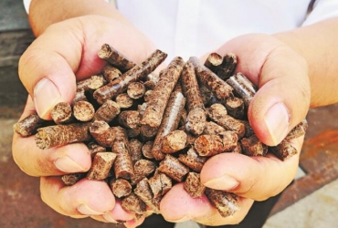 投資木屑顆粒廠(chǎng)前需要做的準(zhǔn)備